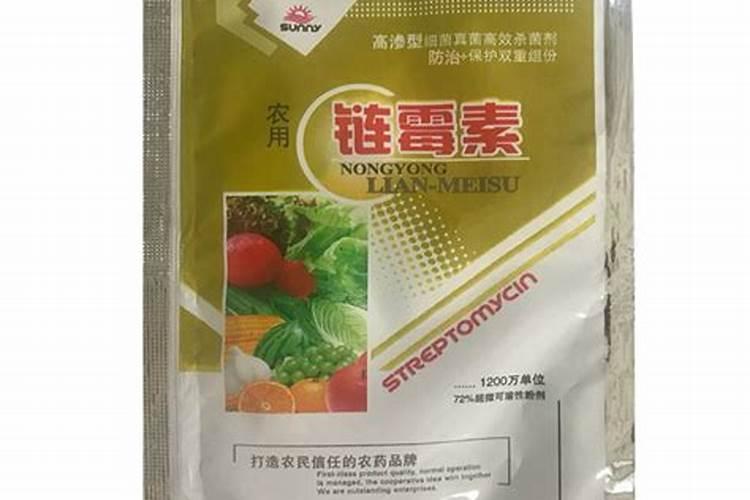 如何给绿萝换盆用什么土好