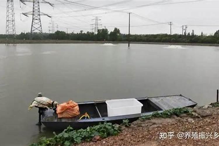 莲藕叶子可以减肥吗？