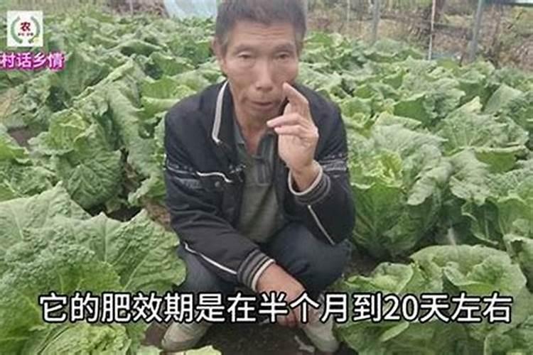 用什么给兰花施肥比较好