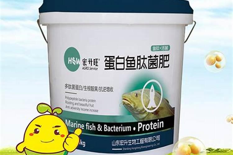 鱼蛋白桶肥对作物效果好处