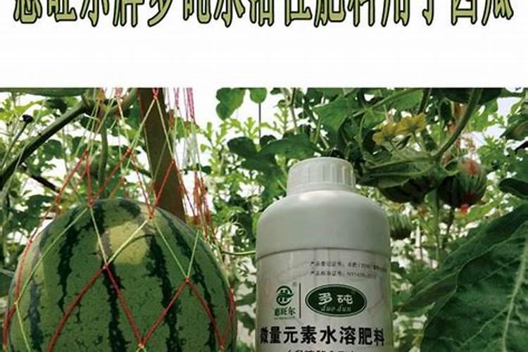 氮肥和复合肥的区别