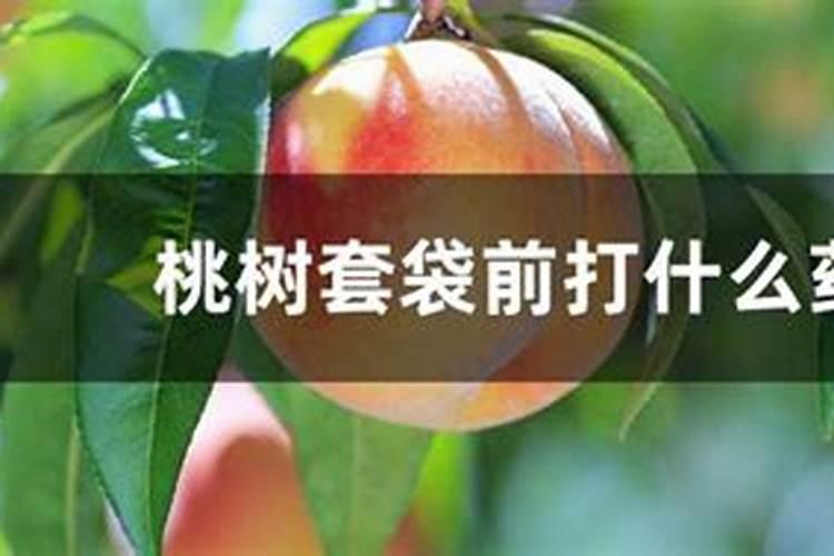 桃树套袋前三遍药都用什么药注意事项有哪些