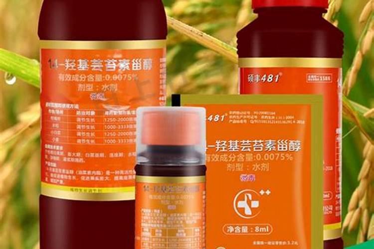 芸苔素内酯浇花的正确方法