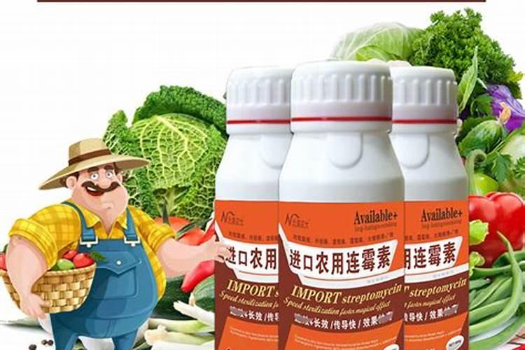 大葱根腐病和软腐病怎么用药