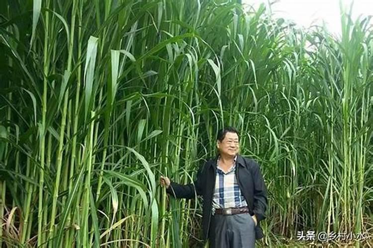 复合肥氮磷钾怎样计算