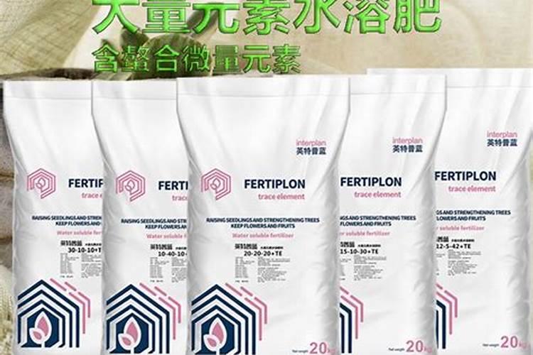 长势比较弱的的甜瓜,需要怎么样去处理？