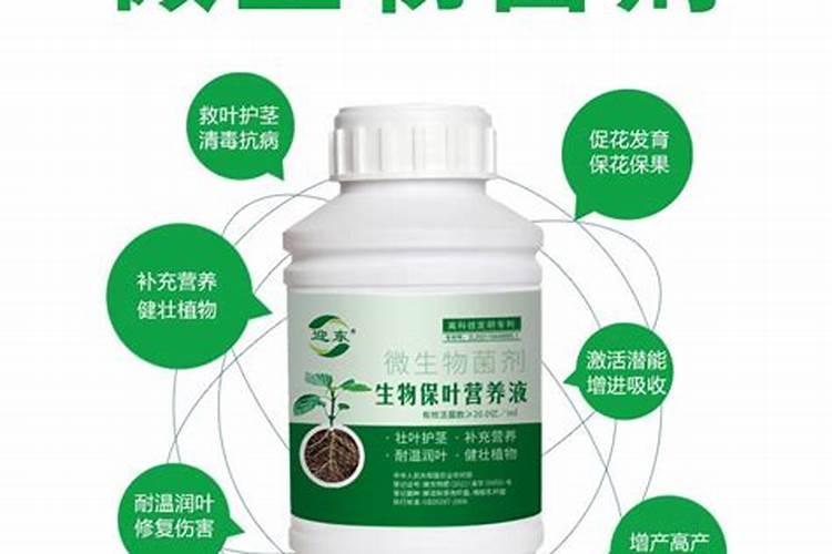 施美特液体氮肥玉米如何使用