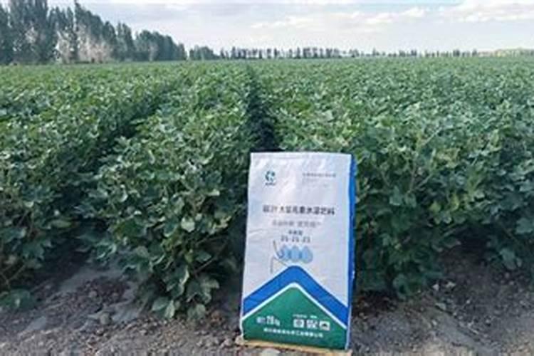 山东菏泽盛可丰是化肥吗？