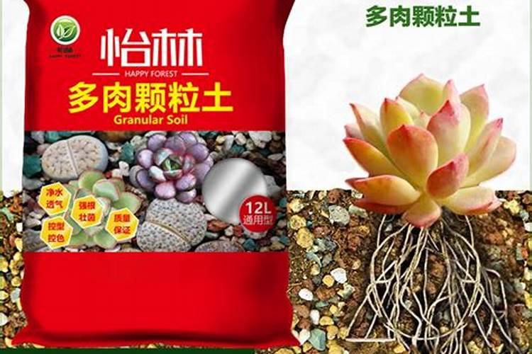 多肉用什么肥料最好