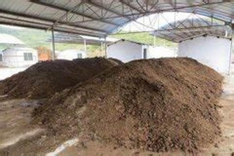 糖化硼可以在客厅用吗有毒吗