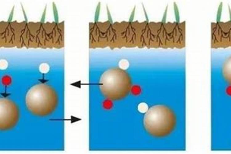 鉴别磷肥和钾肥的简易方法