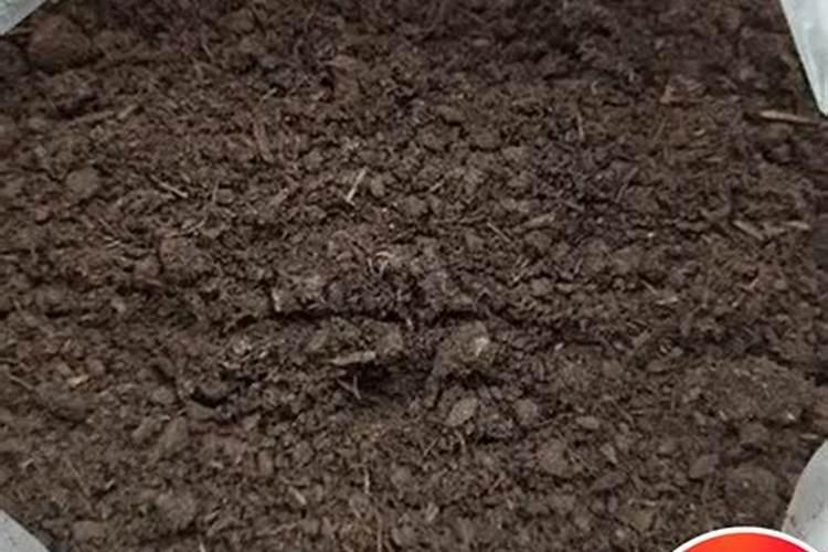 洛阳市蓝禾生物科技有限公司怎么样？