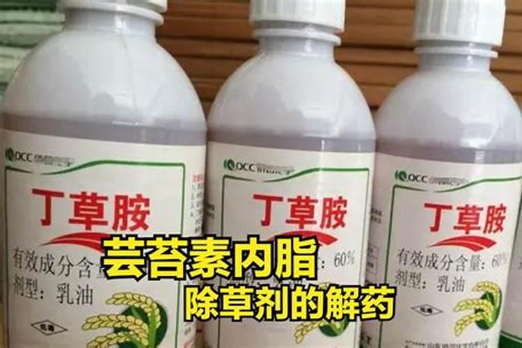 芸苔素可以和除草剂在小麦反青时侯可以混用什么？