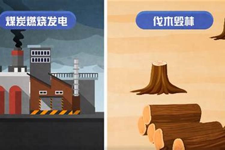 有机肥料和化学肥料的区别是什么