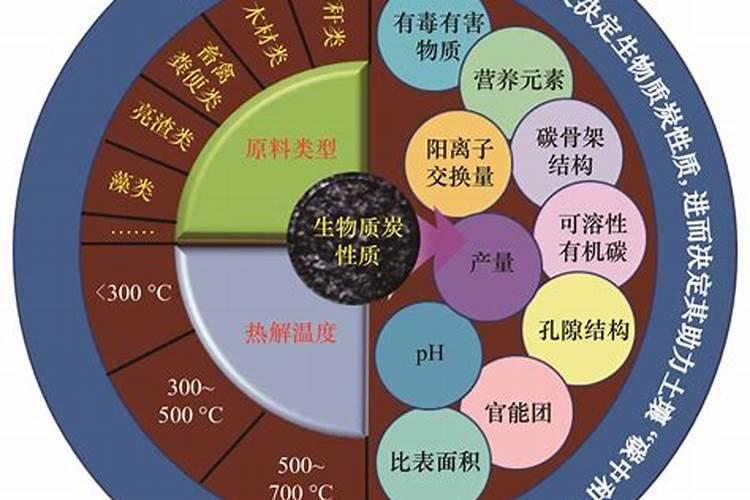 光合碳肥的定义是什么呢