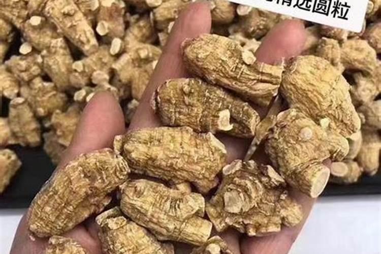 金鱼吊兰用什么浇肥美又健壮