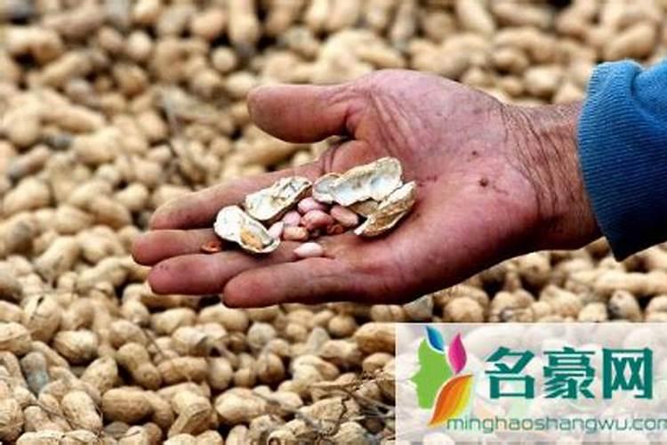 花生壳磨碎做肥料