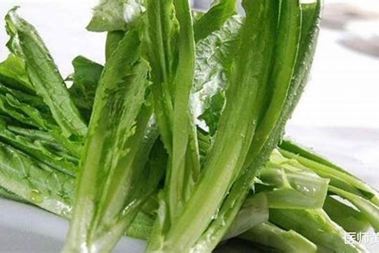 大棚油麦菜干边是什么原因