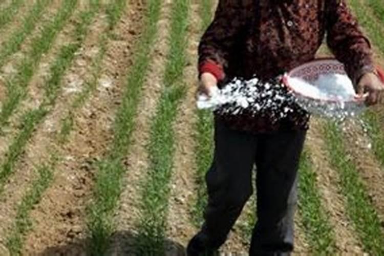 小麦底肥复合肥每亩需要多少公斤 小麦底肥每亩需要多少公斤