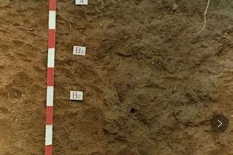 凡士林哪里有卖