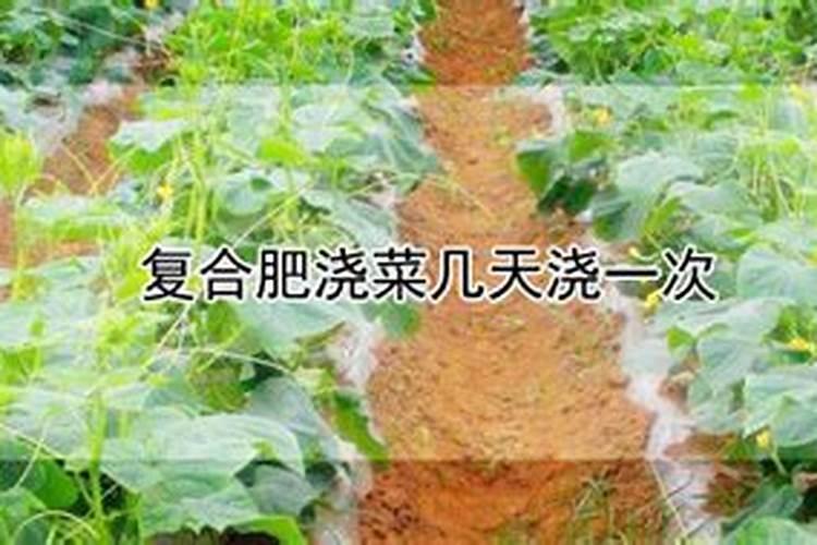茉莉花春天花谢后可以施全元素复合肥吗