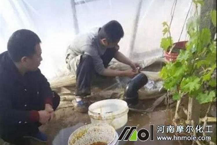 水溶肥施了多久不能淋雨？