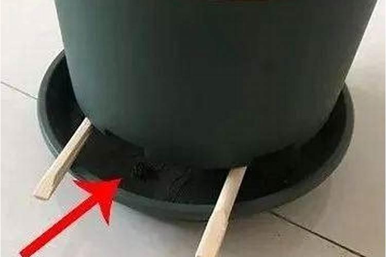 给蔬菜浇粪后落大雨会影响肥效吗？