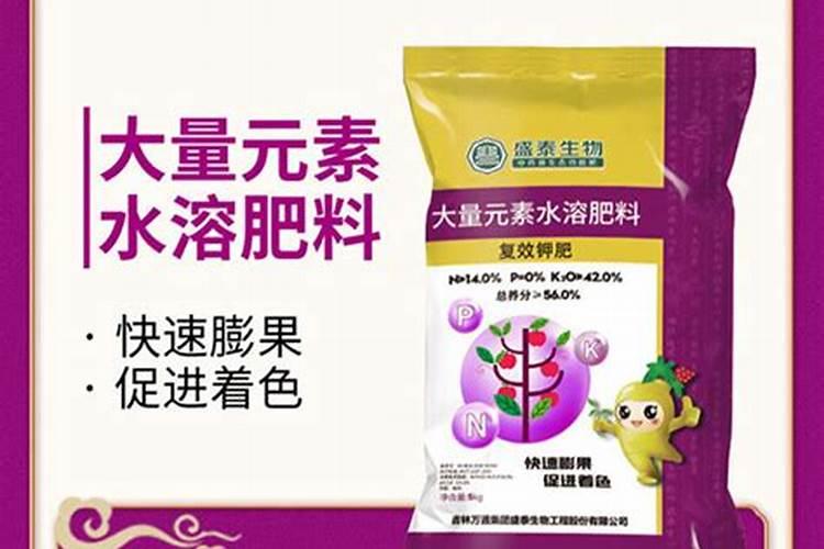 茉莉花多久施一次肥 应该施什么肥