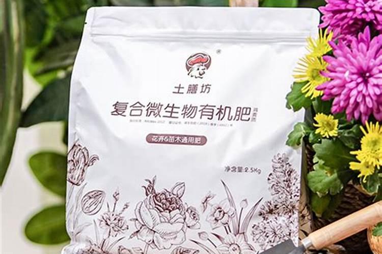 水溶肥行业的发展前景怎么样