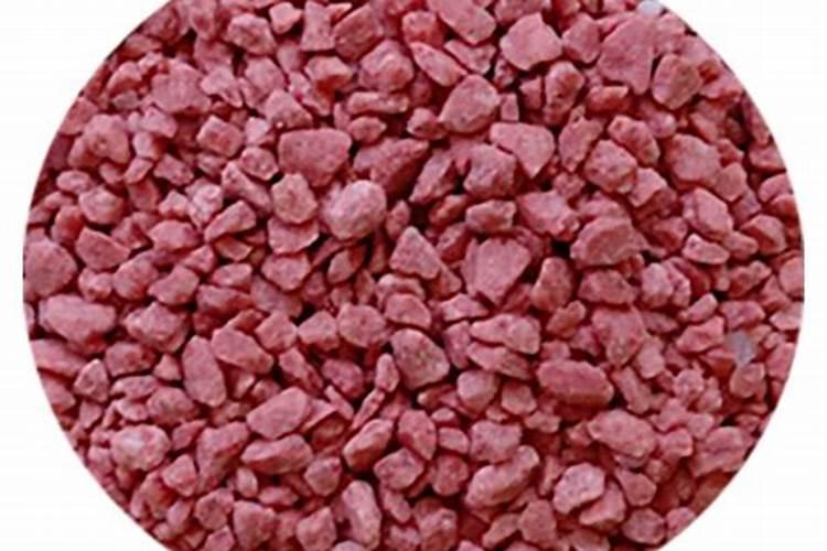 种茶花用什么肥料最好