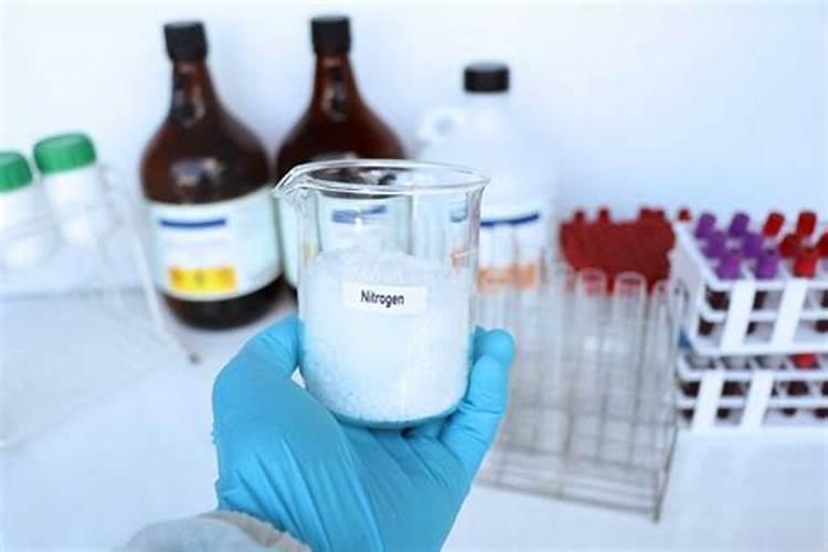 柑橘树施氮肥过量的症状及补救措施