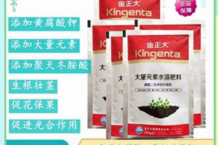 平安树浇什么肥料合适