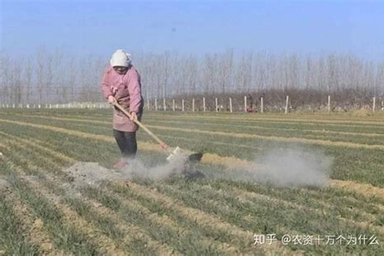 小麦底肥用什么好？