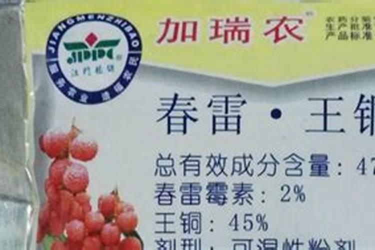 芸豆喜欢什么叶面肥