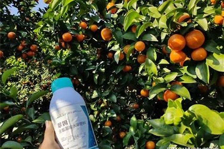 种植小麦每亩需要氮磷钾比例各多少？