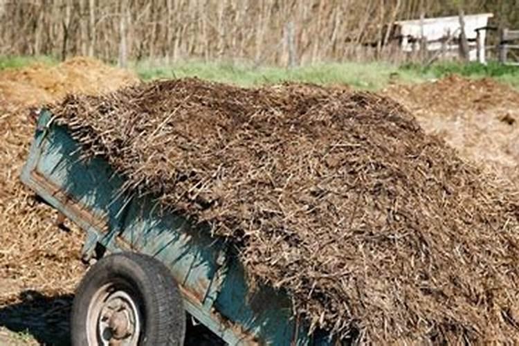 悬浮流体肥是什么肥料？悬浮流体肥有哪些优势？