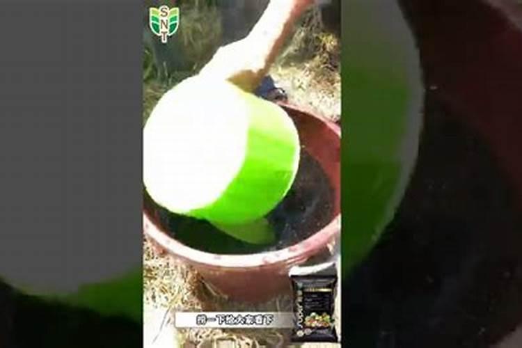 黄腐酸钾成块怎么回事