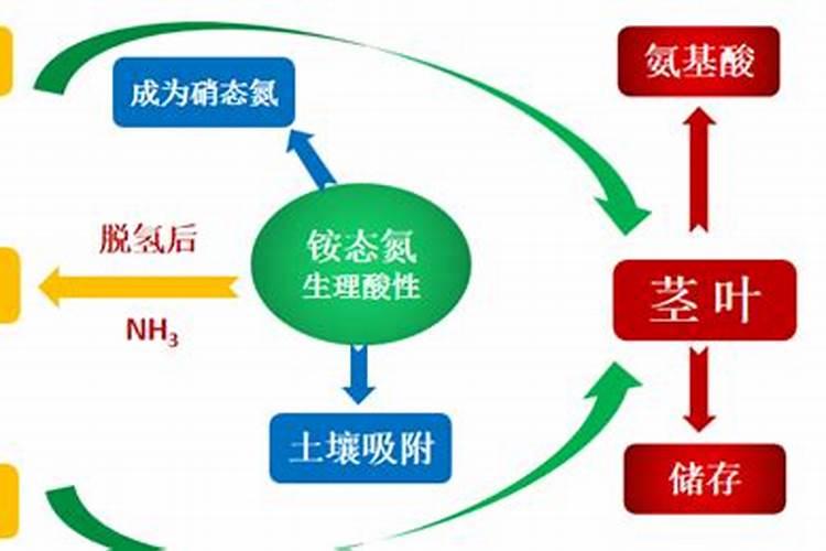 小麦施什么肥最好