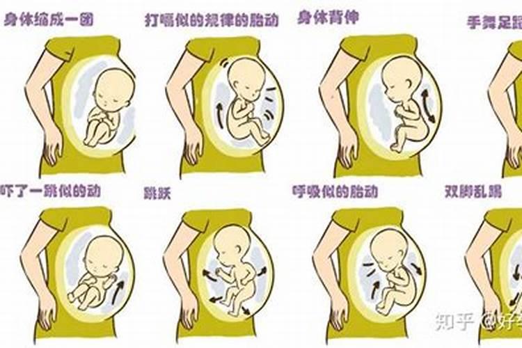 三角枫六月份移植成活率高吗？