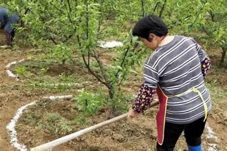 怎样为宝宝做微量元素检查？(组图)  百度宝宝知道