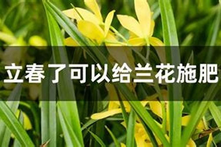 枯树叶怎样发酵成肥料？