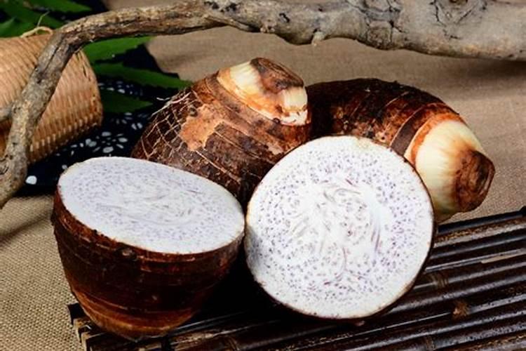 葡萄刚刚发芽可不可以泡磷肥