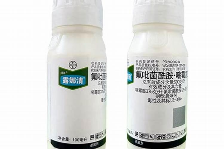 草莓疫病用什么药最好