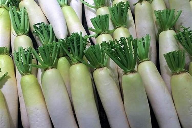 钙镁硼锌铁和尿素一起用吗？