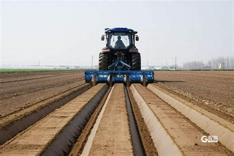 小麦专用肥都有什么牌子