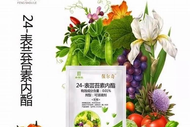 芸苔素14,24,28的区别是什么？
