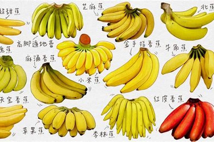 磷钾肥自制 磷钾肥和磷酸二氢钾有什么区别