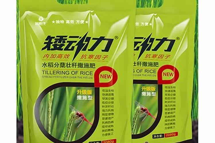 水稻怎么施尿素肥最好