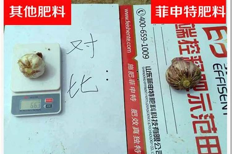 大蒜控释肥哪个牌子好