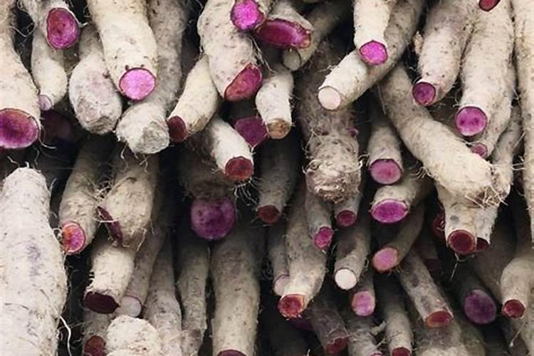 油豆需要炖多久